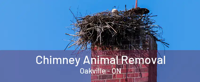 Chimney Animal Removal Oakville - ON