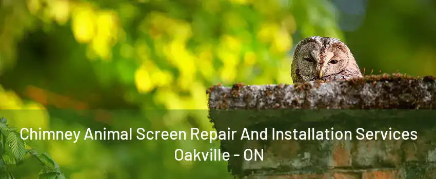 Chimney Animal Screen Repair And Installation Services Oakville - ON