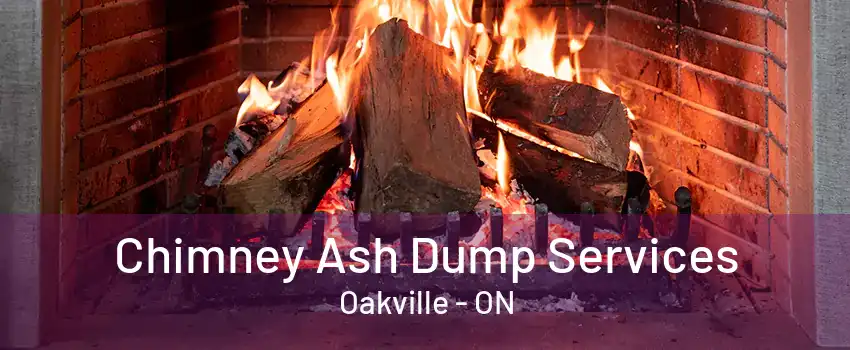 Chimney Ash Dump Services Oakville - ON