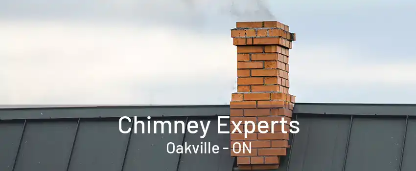 Chimney Experts Oakville - ON