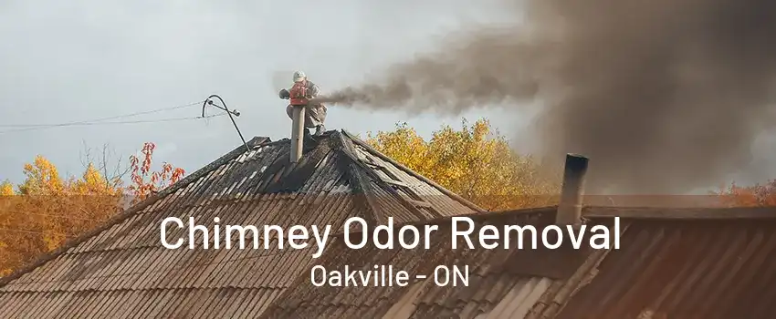 Chimney Odor Removal Oakville - ON