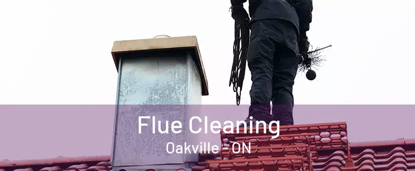 Flue Cleaning Oakville - ON