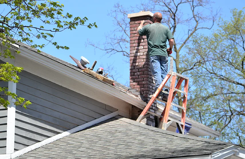 Chimney & Fireplace Inspections Services in Oakville, ON