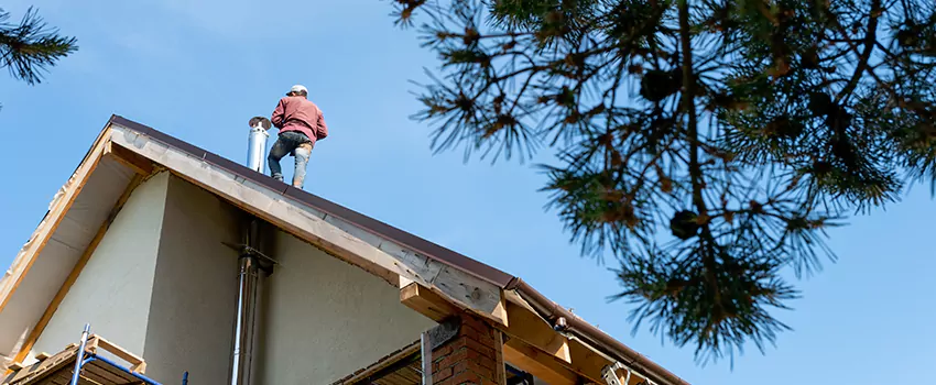 Birds Removal Contractors from Chimney in Oakville, ON