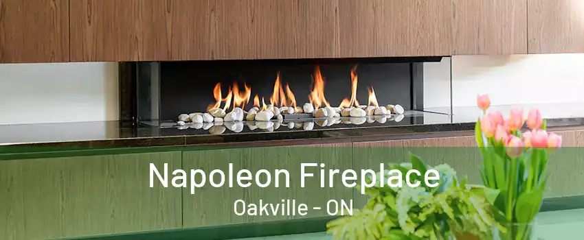 Napoleon Fireplace Oakville - ON